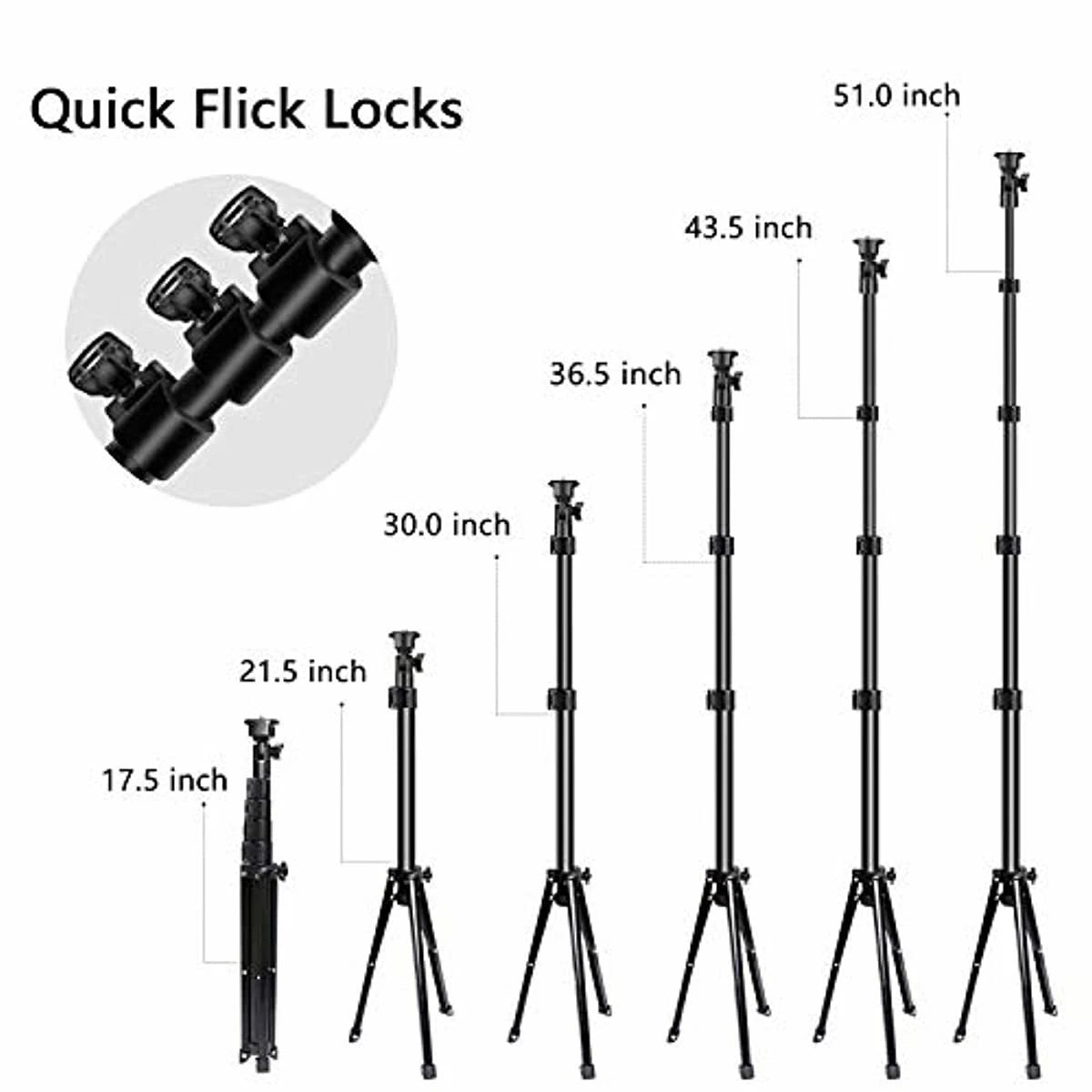 Looply™ 8" Ring Light with Tripod Stand